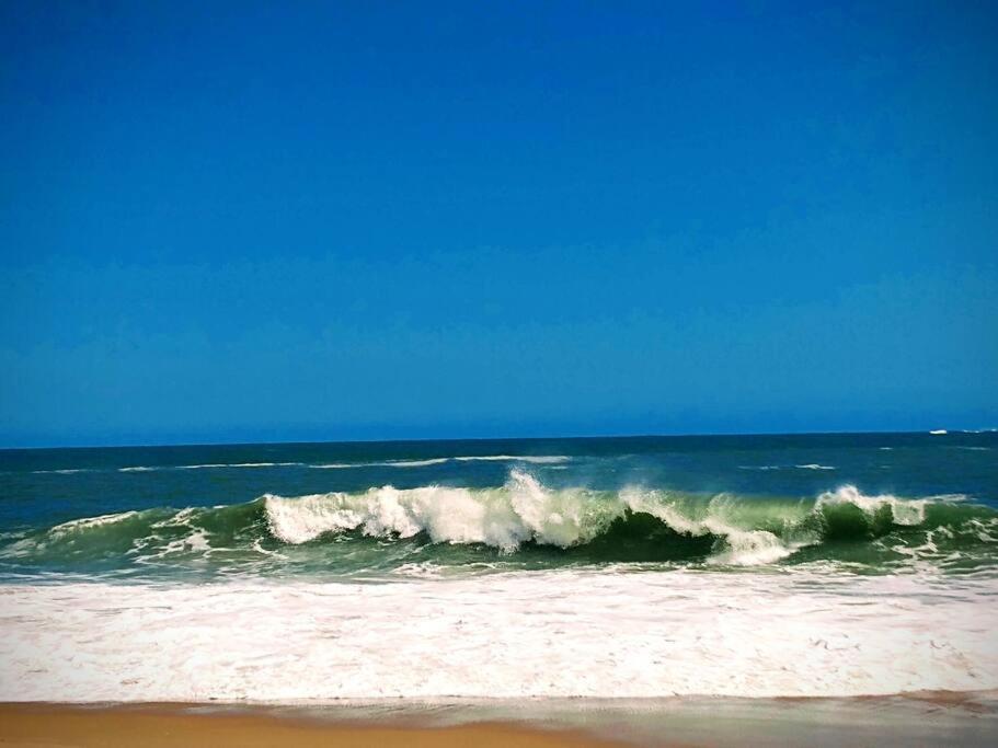 Aloha Sertao Flats Sao Sebastiao  Kültér fotó